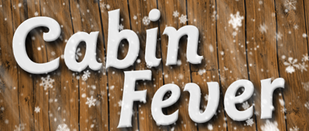 cabin fever auction
