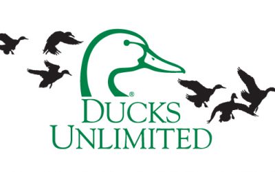 Ducks Unlimited Wing Night